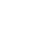 Digital Training & Adoption